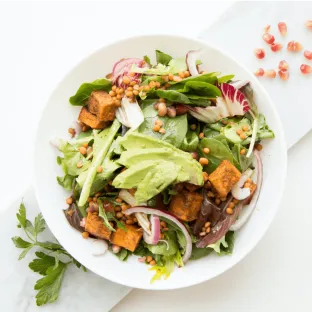 Dionysus Entertainment LLC